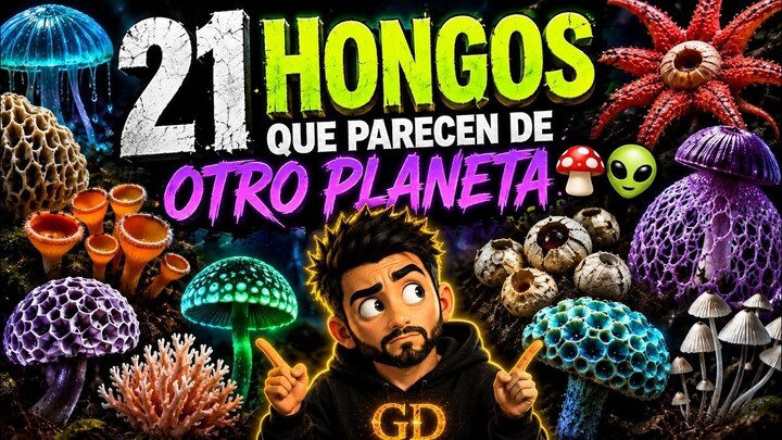 21 HONGOS que parecen de otro planeta 🍄👽