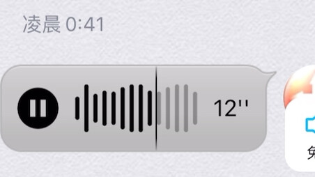 How to Learn Squid Language