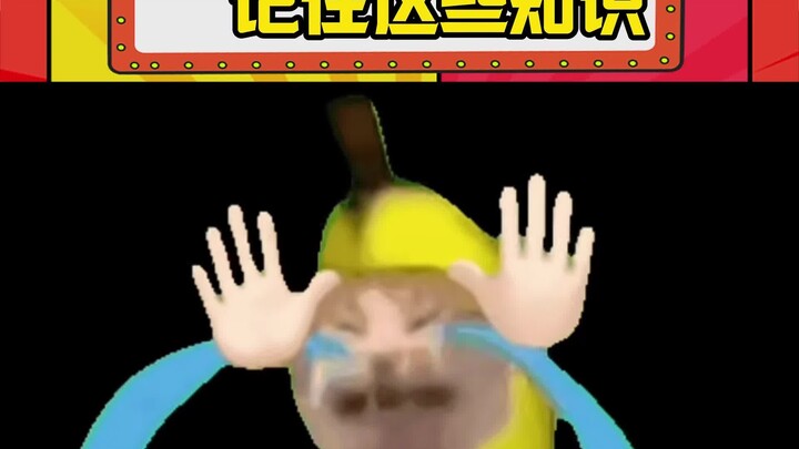 30 วินาทีสุดท้ายก่อนย้อนเวลา! สาระเหล่านี้ต้องฝังแน่นไว้ในสมองเลย