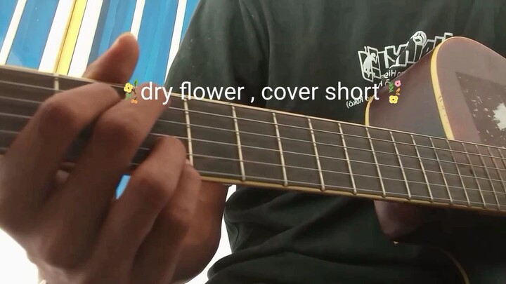 dry flower Yuri , cover short
