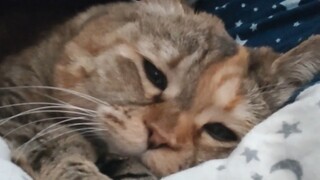 Mom, let's see who wakes up last.
