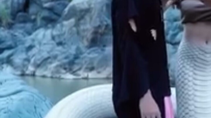 jal pari