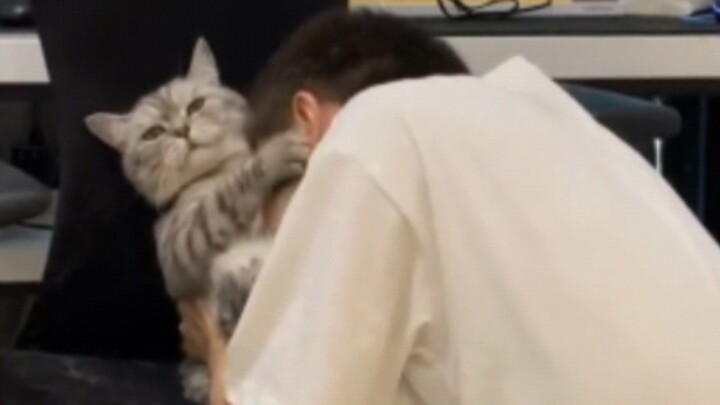 ไม่มีแฟนก็ได้แต่หันไปจัดการกับแมวแล้วล่ะ!