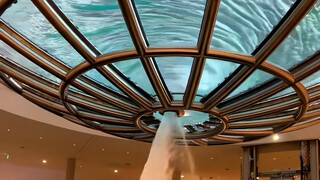 Baskom Keberuntungan yang Dirancang oleh Master Feng Shui Top Dunia