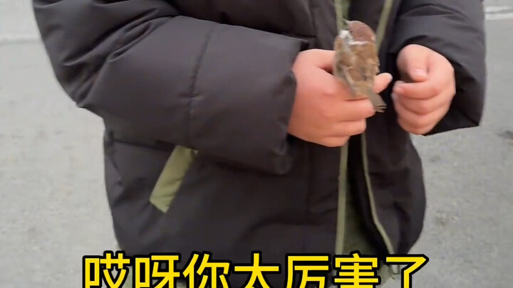 摊位前人群来来往往，一个小孩拿着麻雀的身影闯入视线，思绪瞬间被拉回童年。彼时的树林里，自己和伙伴们在枝叶间穿梭，只为抓住那小小的雀儿