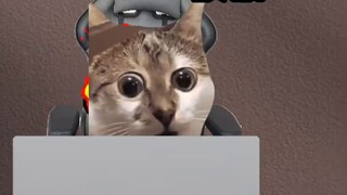 When foreigners log into the Chinese version of TikTok and get scammed