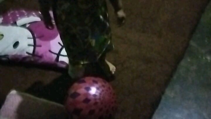 main bola