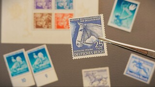 Пополнение почтовых марок в нашу коллекцию - фауна - октябрь 2025 часть 3