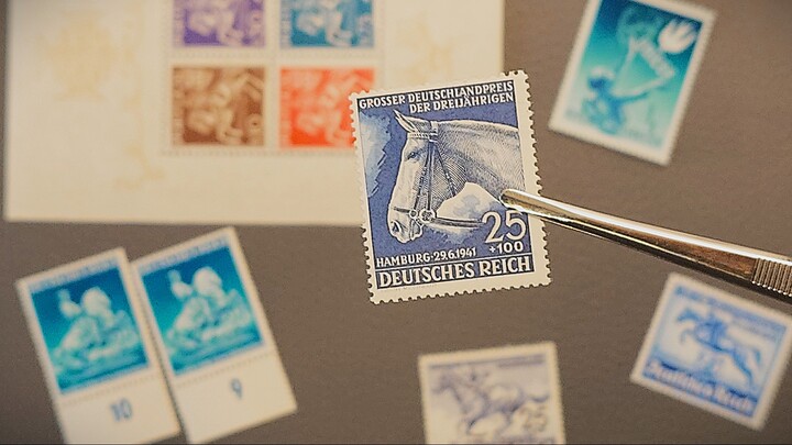 Пополнение почтовых марок в нашу коллекцию - фауна - октябрь 2025 часть 3