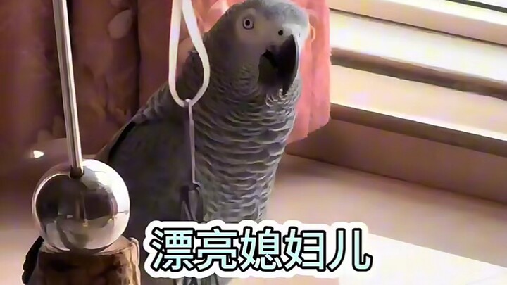 ⚡เรื่องในบ้านทั้งหมดถูกเปิดโปงหมดแล้ว ฮ่าๆๆๆ⚡