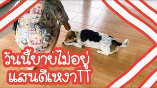 โลกของแสนดี ตอน วันที่ยายไม่อยู่ หนูเหงา..