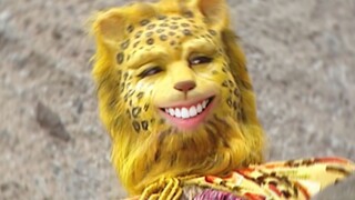 善 有 善 豹