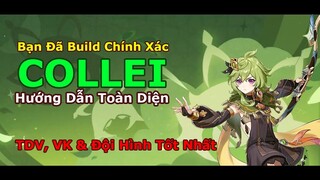 Người Duy Nhất Đề Xuất Ngôi Sao Cực Đông! Build Sai Hay Khai Thác Tối Đa COLLEI | Genshin Impact 3.0