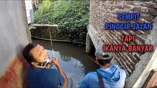 MANCING DI SELOKAN PINGGIR JALAN RAYA || SPOT SEMPIT TAPI BANYAK IKAN