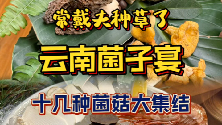 ها قد حان الوقت من كل عام لتناول فطر يوننان "جيانشوتشينغ"!