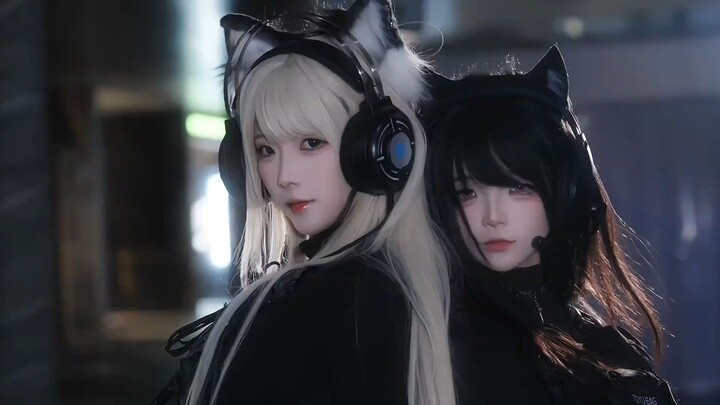 “The Internet’s Top Divine Beauty Files” No. 371: Milk Tea Cat