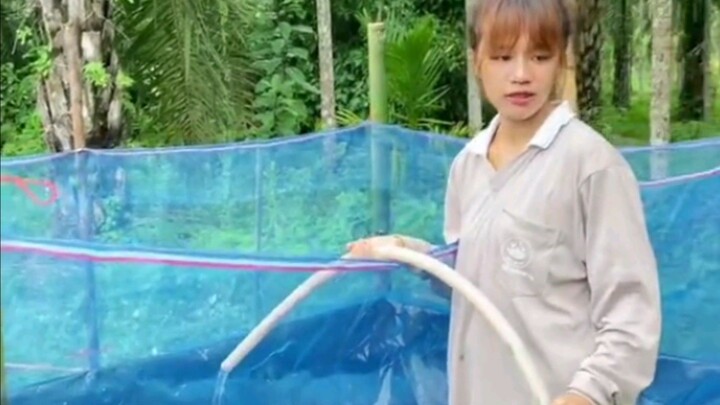 กระชังเลี้ยงกบ