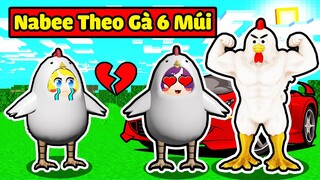 TÔ GÀ EM BÉ PHÁT HIỆN GÀ BÔNG NABEE THEO TRAI GÀ 6 MÚI*TÔ GÀ BỊ GÀ BÔNG NABEE CẮM SỪNG