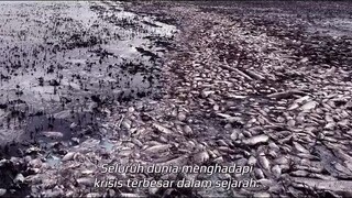 Ziam.2025-SUB-INDO