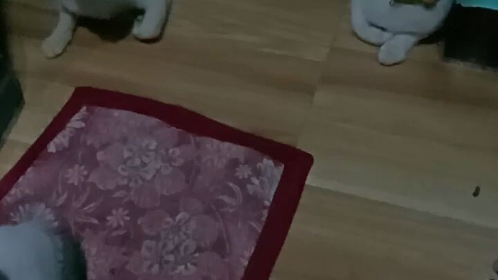 wala pang nahuli.antay antay lng may hapunan natayo mga anak