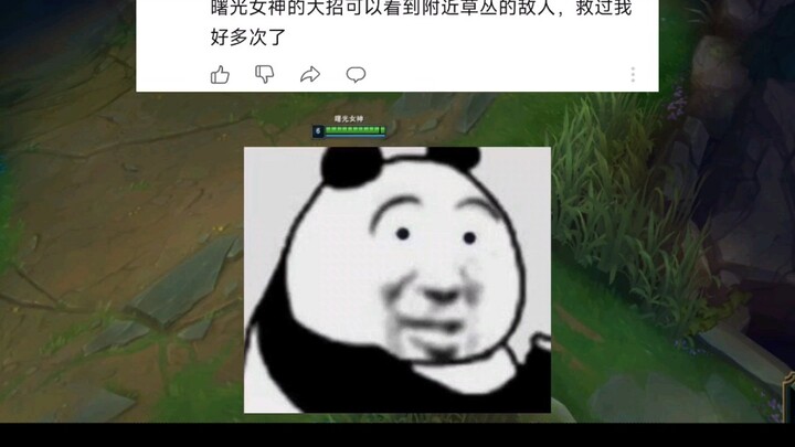 曙光女神的大招可以看到，草里的视野 救过我好多次了