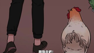 母鸡如果没有梦想，那跟白切鸡有什么区别？？？