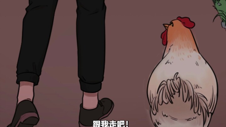 母鸡如果没有梦想，那跟白切鸡有什么区别？？？