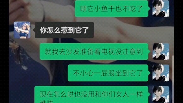 《倔强的猫咪》