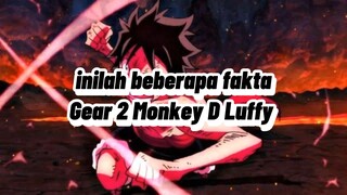 BEBERAPA FAKTA MENARIK GEAR 2 MONKEY D LUFFY