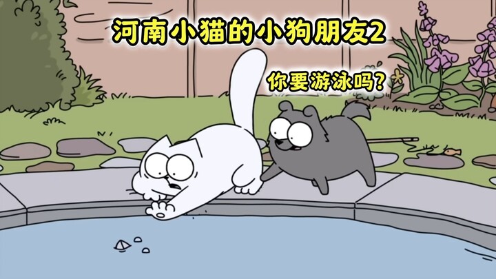 “The World’s Least Talented Dog Has Great Instincts”