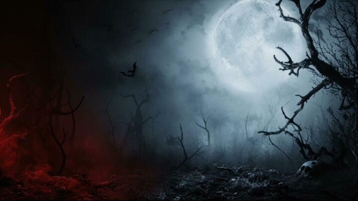 Bacain cerita horor dari tweet twitter (Part 1)