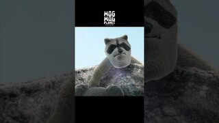 Koala ＆ Common raccoon - MOGMOG PLANET Observation Diary | It's Anime #shorts #anime #animals
