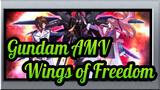 [Gundam AMV / Destin] The Wings of Freedom, One of the Strongest Gundams!