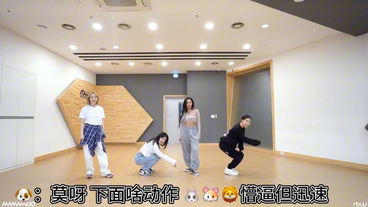 كما هو معروف للجميع، قائد الفريق يحدد طبيعة الفريق. شرح غرفة التدريب لنسخة "Dingga" من قبل الأخت الغ