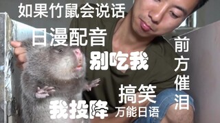 【华农兄弟】华农搭配万能日语配音会怎么样？
