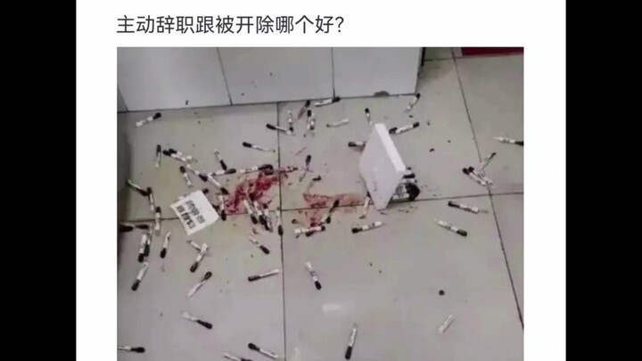 Silly Pics and Epic Comebacks