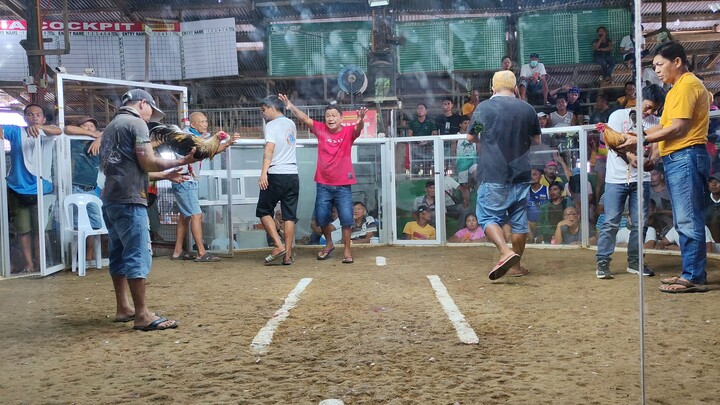 ALICIA 3 HITS ULUTAN 2nd Fight WIN 1/16/25