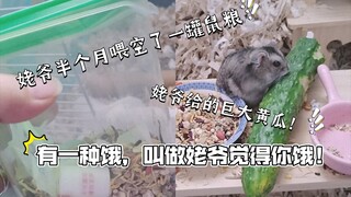 After being away from home for half a month, this is how my dad fed my hamster 🤣