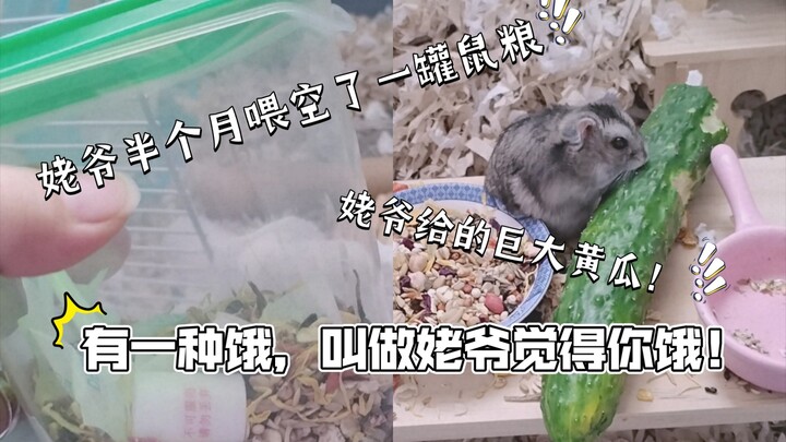 Setengah bulan sejak saya pergi dari rumah, beginilah cara ayah saya membantu memberi makan hamster 