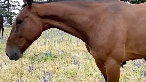 Is this how it feels when girls hear some shocking gossip?