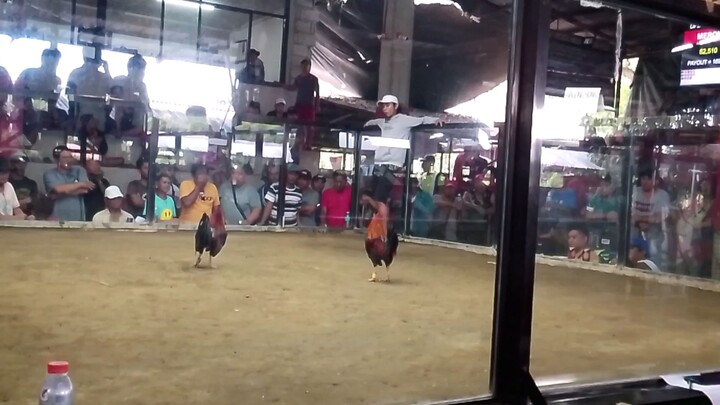 parang ninja rin ehhh