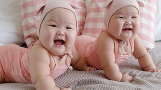 พยายามอย่าหัวเราะกับเด็กตลก Pew Baby