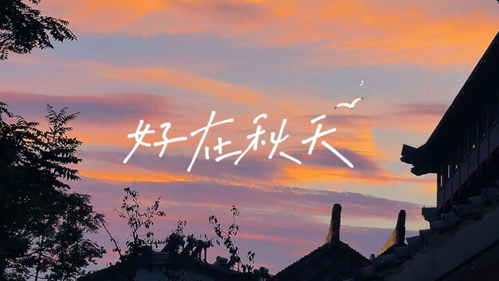 Laporan, sayang! Hari ini sudah memasuki musim Dingin, aku keluar rumah untuk membuat kerajinan tang