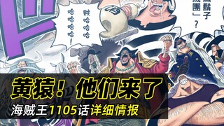 海贼王1105话详细情报丨神秘人来袭，蛋尖岛将迎来大混战！？ 甚平即将参战，草帽团为逃跑做准备！