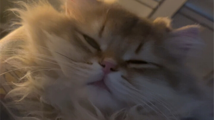 Her hands are numb from being pressed, yet she still pretends to sleep!