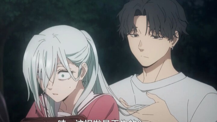 The silver-haired one has natural hair, while the black-haired one ignores the male protagonist's to