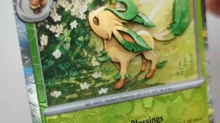 叶伊布，3D立体卡牌。安静的去做一件自己喜欢做的事情。
