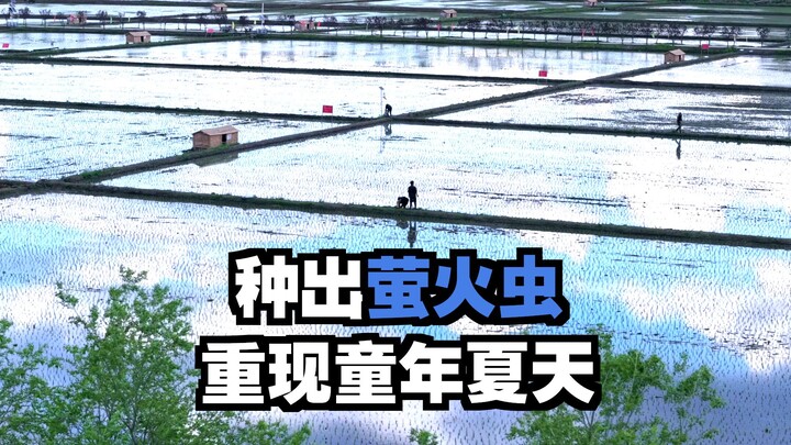 Giờ các blogger ẩm thực đều cạnh tranh khốc liệt như vậy sao?