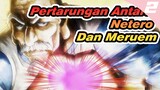 Pertarungan Antara Netero Dan Meruem