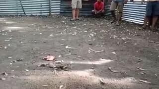 dalawa tinalo sa ruwida part 2